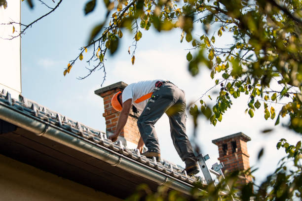 Quick and Trustworthy Emergency Roof Repair Services in Colorado City, AZ